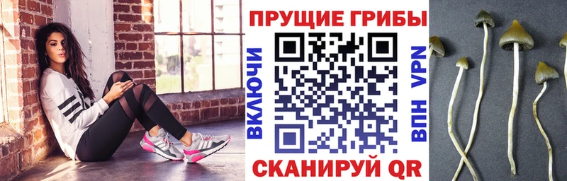 Псилоцибиновые грибы мухоморы  купить   Сосногорск 